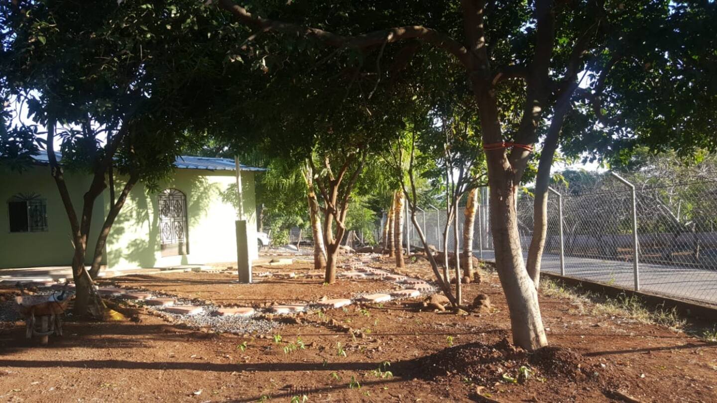 Shaded garden with mango trees beside the house